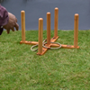Mega Ringwerpen